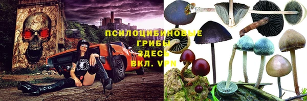 прущая мука Аша