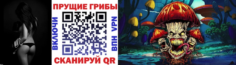 Галлюциногенные грибы Psilocybine cubensis  площадка телеграм  Елабуга  купить наркотики сайты 